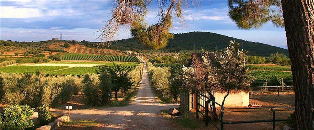 Agriturismo Biologico Bulichella Suvereto Exterior photo